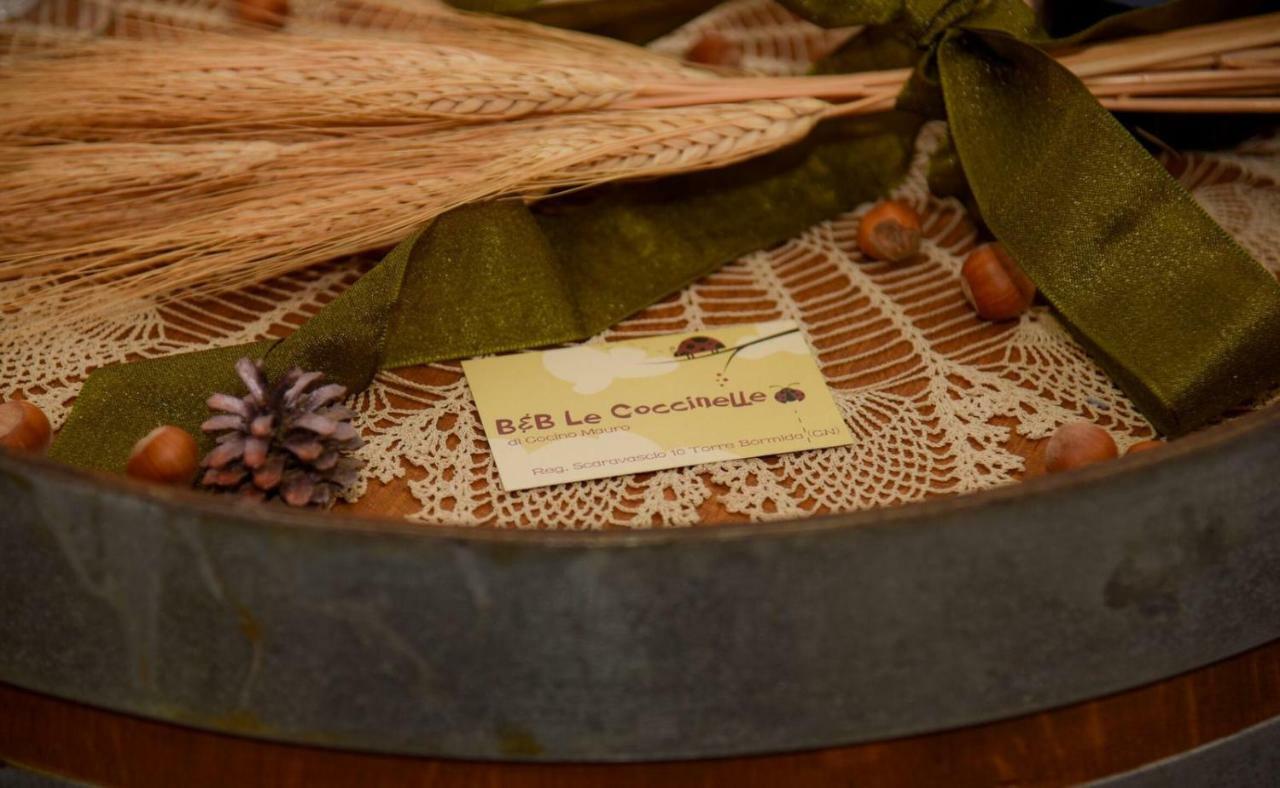 B&B Le Coccinelle Torre Bormida 外观 照片